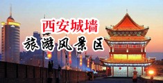 大鸡巴干小穴视频网站中国陕西-西安城墙旅游风景区