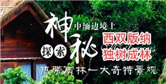 插阴道视频