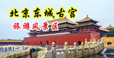 操骚屄成人免费在线视频中国北京-东城古宫旅游风景区