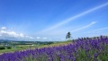 日我小骚逼日本一地6日游  境外旅游 6880元/人