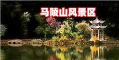 www.插穴