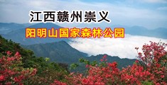 插一插你的bi